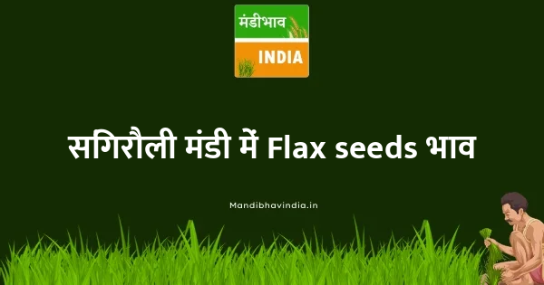 Flax seeds भाव